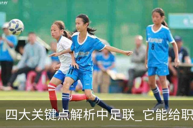 四大关键点解析中足联 它能给职业联赛带来哪些改变?