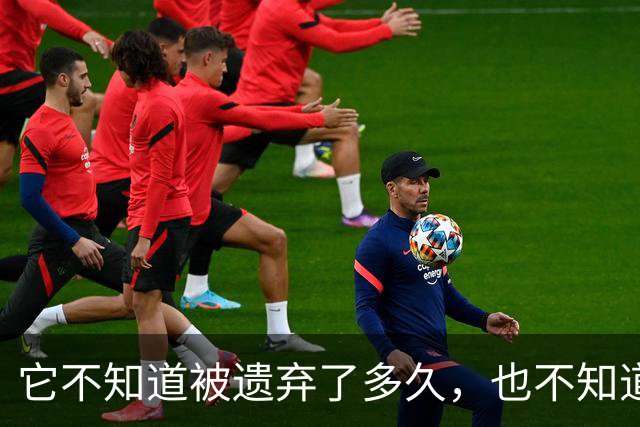 它不知道被遗弃了多久,也不知道物业要清理它,还围着人类在讨好呢